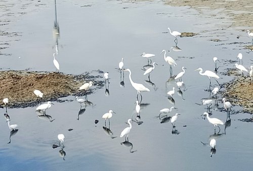 IMG_20201108_112413.jpg