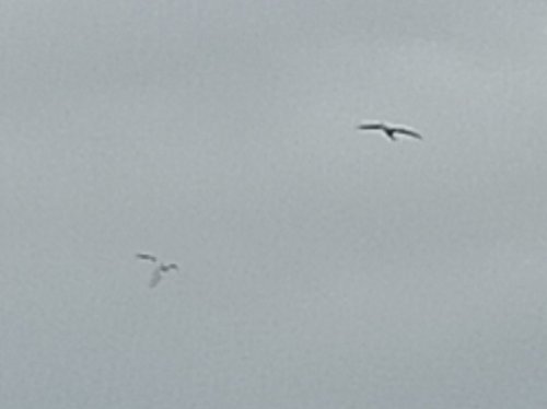 IMG_20201110_203508.jpg
