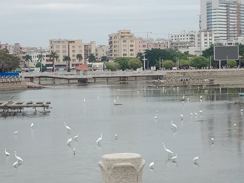 IMG20201110081847.jpg