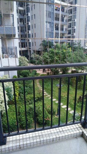 P01010-111610.jpg