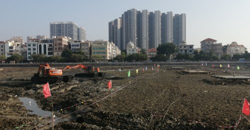 IMG_20201127_194842.jpg