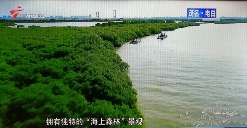 IMG_20201203_184635.jpg