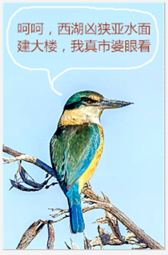 20.PNG