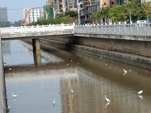 IMG_20201209_150614.jpg