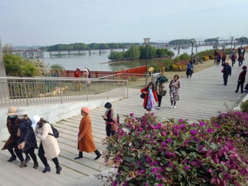 IMG_20201219_174605.jpg