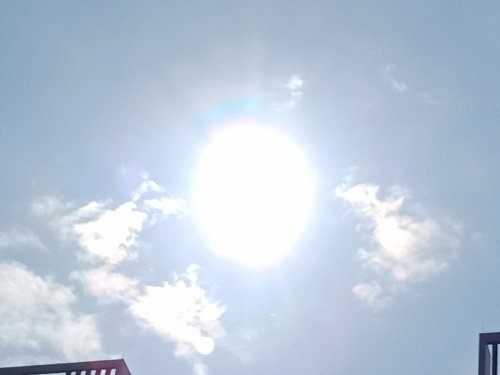 IMG_20201229_114301.jpg
