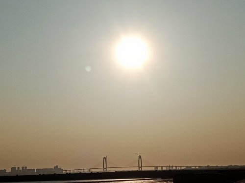 IMG_20201230_081607.jpg