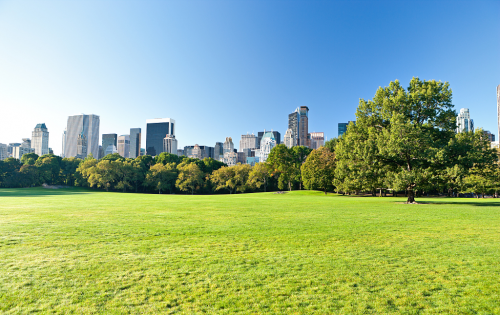 ad583df58e4ef07deecb79951d2fecc2.png ad583df58e4ef07deecb79951d2fecc2.png