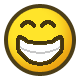 biggrin@2x(1).png
