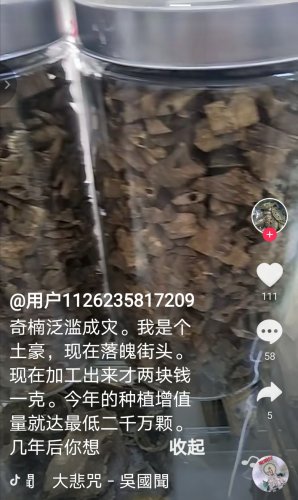 Screenshot_20210328_213507.jpg