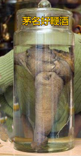 362_副本1.png 362_副本1.png