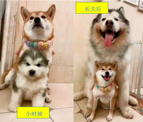 微信图片_20210426152503.png