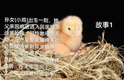 IMG_20211127_074649.jpg