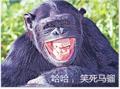 360截图20220101141835389.jpg
