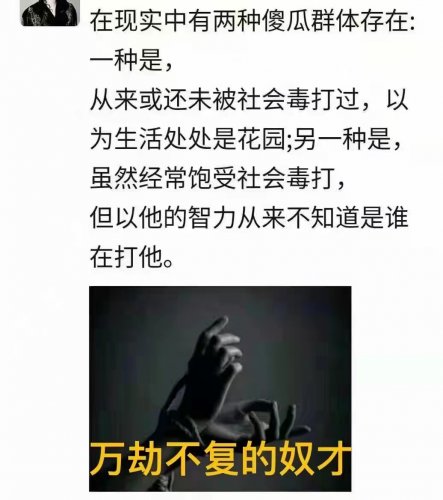 2D9A3233-B347-48B0-9924-3D8EB5DA8427.jpeg 2D9A3233-B347-48B0-9924-3D8EB5DA8427.jpeg