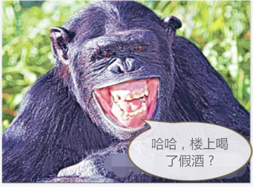 010_看图王012.jpg
