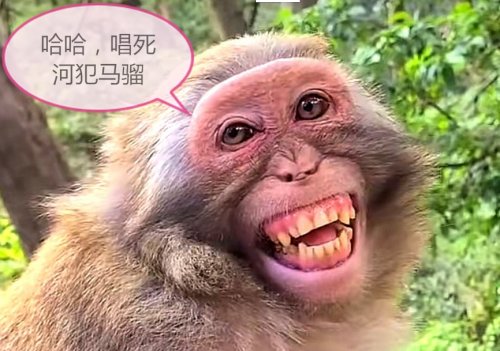 Screenshot_20211224_215102_看图王.jpg