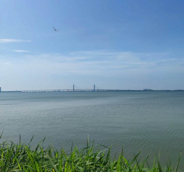 IMG_20230924_233552.jpg