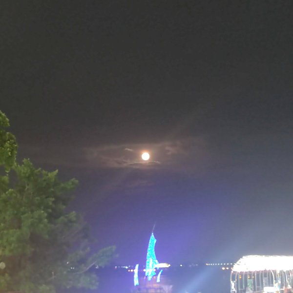 IMG_20230929_200507.jpg