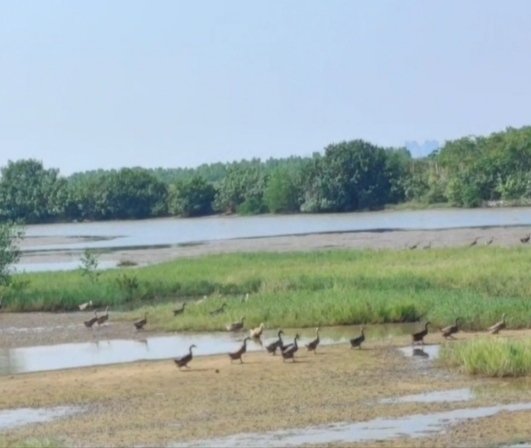 IMG_20231107_232355.jpg