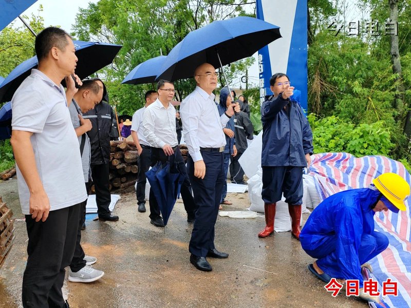 IMG_5113.jpeg IMG_5113.jpeg