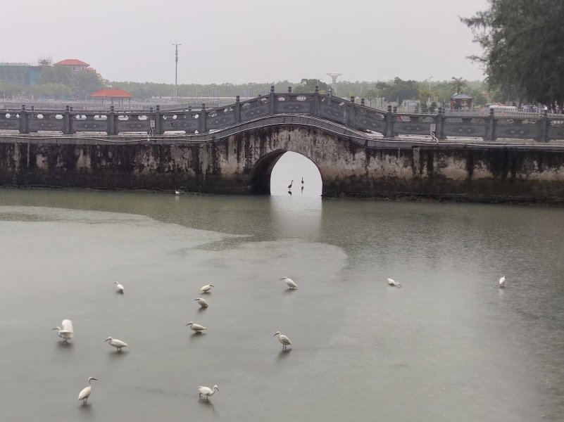 IMG_20241029_224209.jpg IMG_20241029_224209.jpg