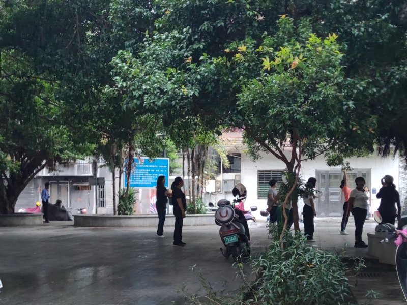 IMG_20241030_003709.jpg IMG_20241030_003709.jpg