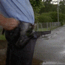 VFnYrf[1].gif