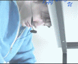 433428338.gif