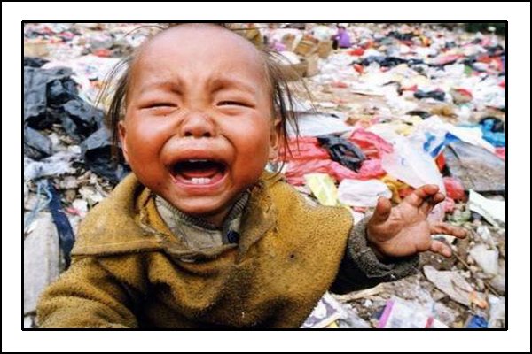 05.jpg