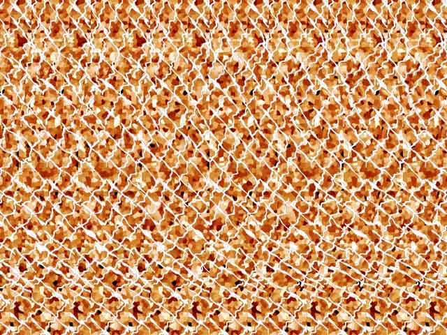 111570952309.jpg