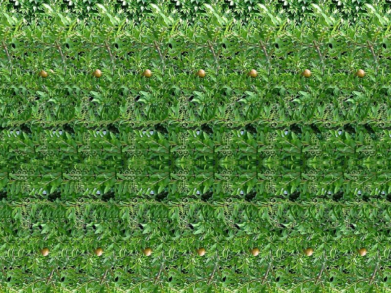111570998002.jpg
