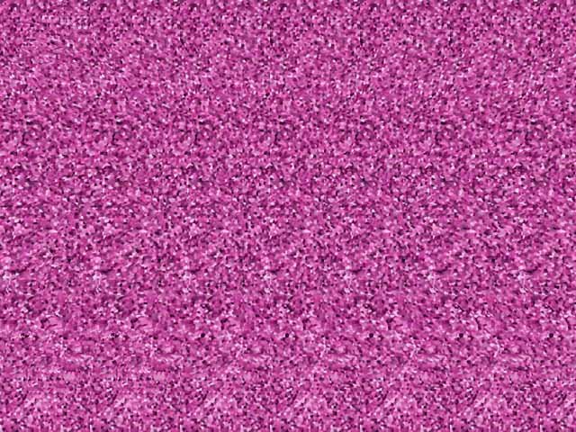 20050331102458991.jpg