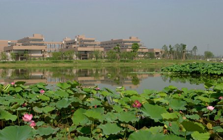 1077301808_1.jpg