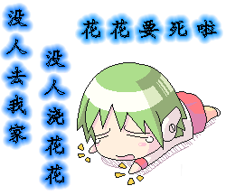08.gif