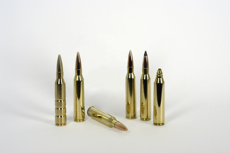 swiss_p_338_family.jpg