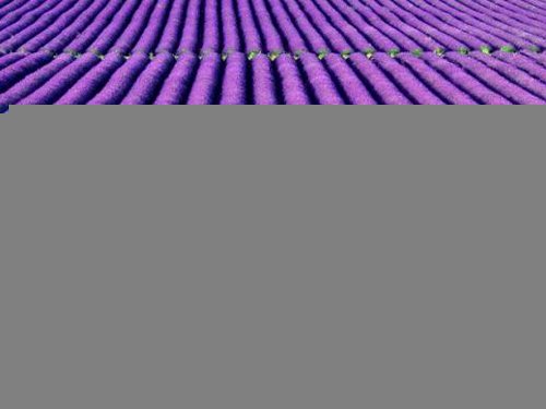 200641419195899087.jpg