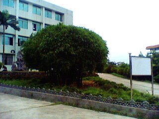 IMG1042A.jpg