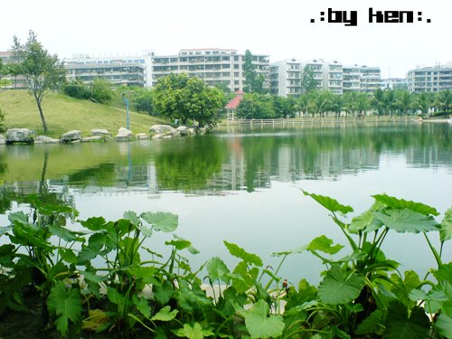 DSC01070.JPG