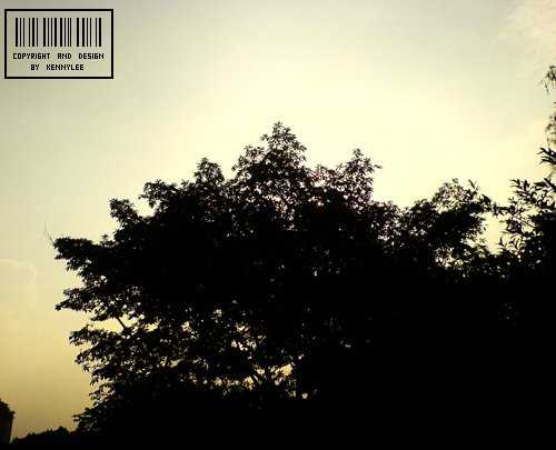 DSC01102.JPG