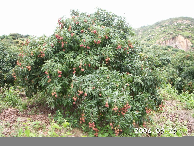 PICT0002.JPG