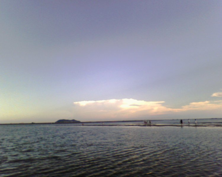 IMG0098A.jpg