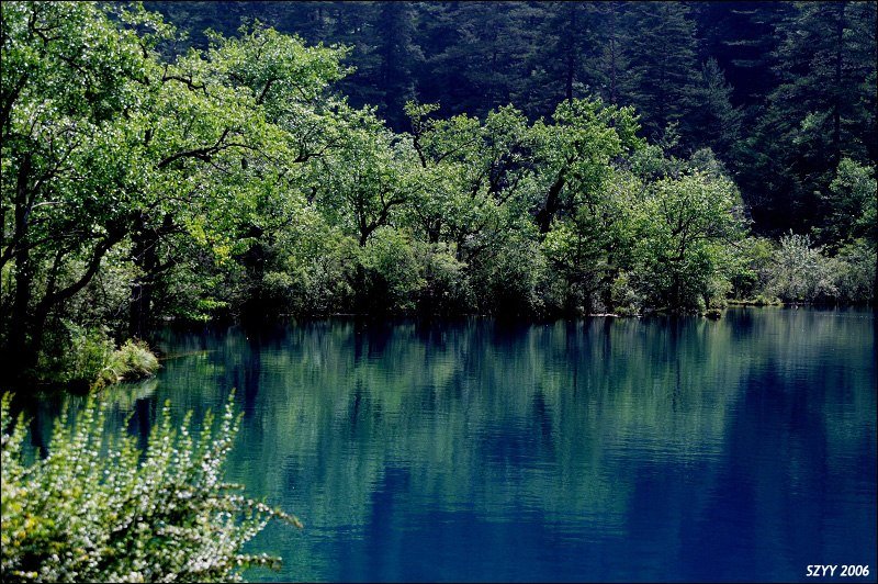 PICT0480.JPG