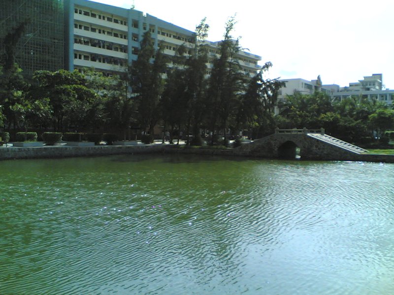20060617.jpg