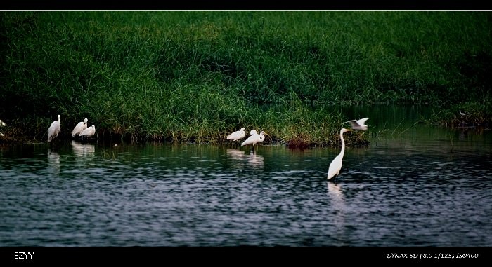 PICT4877.jpg