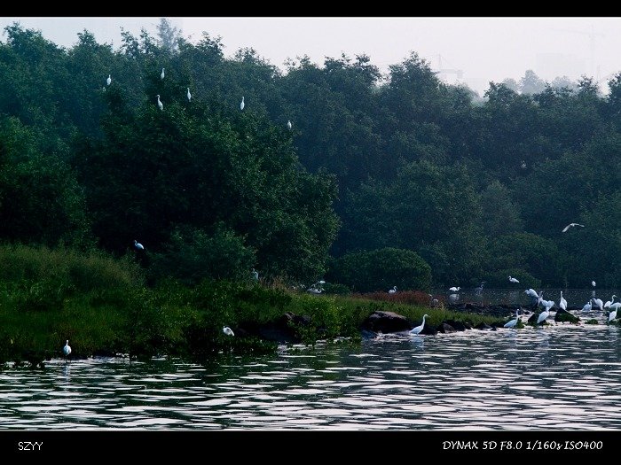 PICT4900.jpg