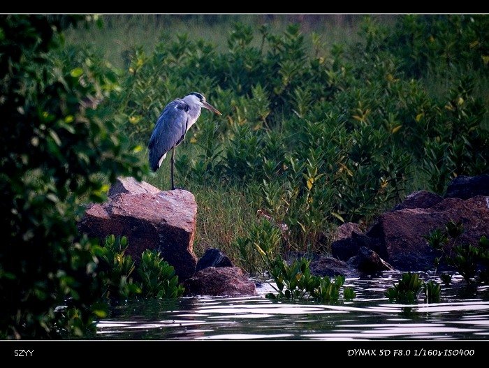 PICT4902.jpg