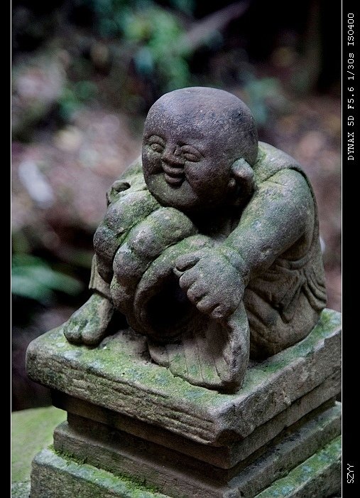 PICT1326_nEO_IMG.jpg