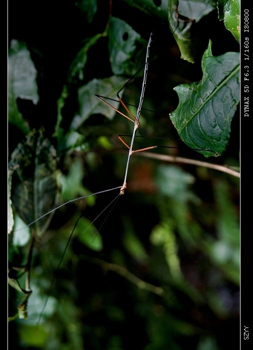 PICT1361_nEO_IMG.jpg