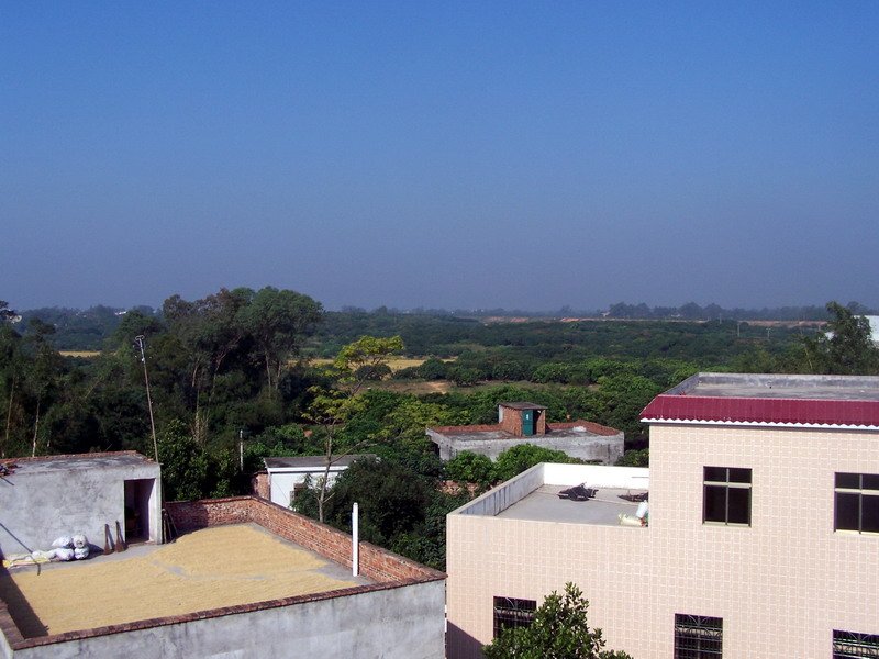 100_4947.jpg